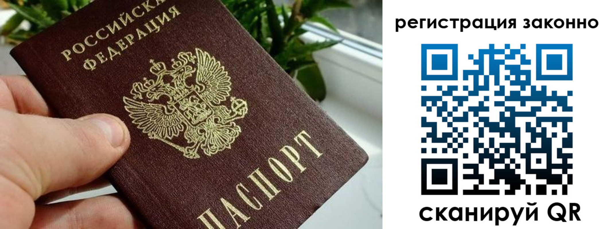 прописка гарантия в Сосновке